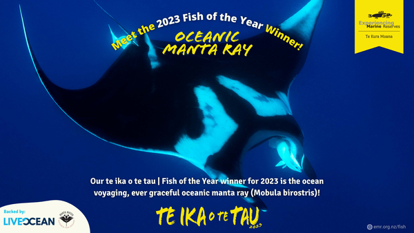 Fish of the Year - 2023 Winner Announcement!