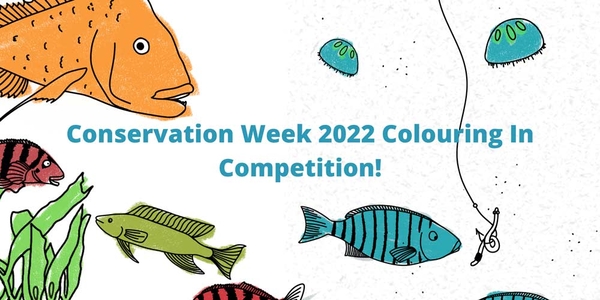 Conservation Week 2022 - Colouring In Competition