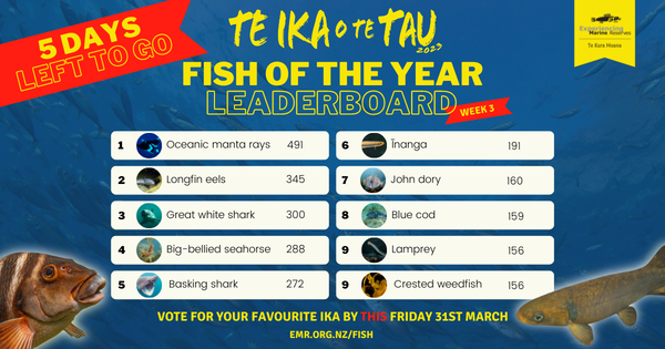 Fish of the Year - Week 3 Leaderboard