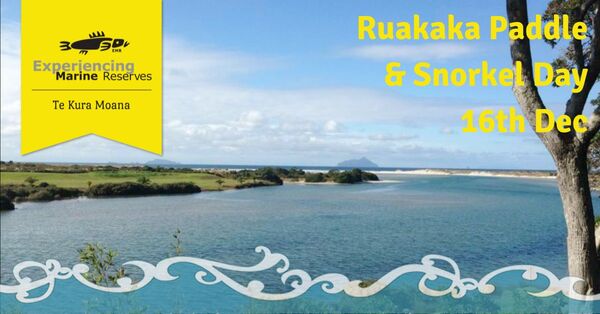 Ruakaka Paddle Snorkel Banner