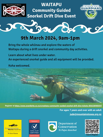Final Waitapu Community Guided Snorkel Drift Dive poster F 2
