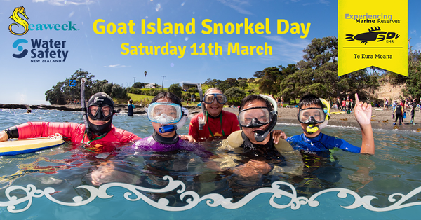 Goat Island Snorkel event banner 2023
