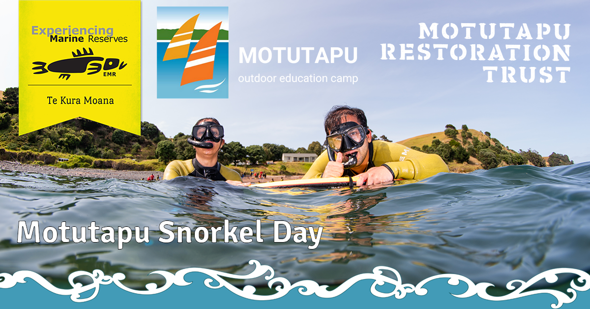 Motutapu Snorkel Day 16th January 2021