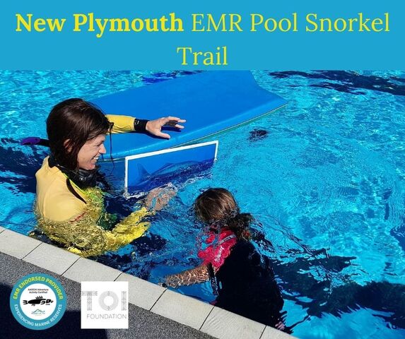 New Plymouth pool snorkel 24