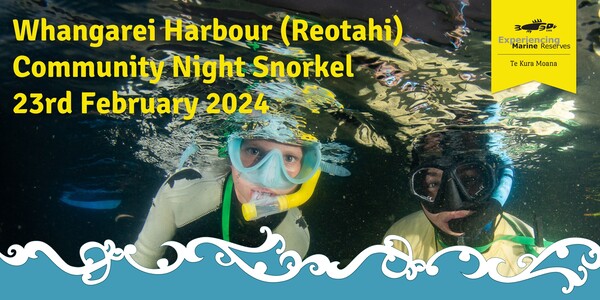Reotahi night snorkel 24