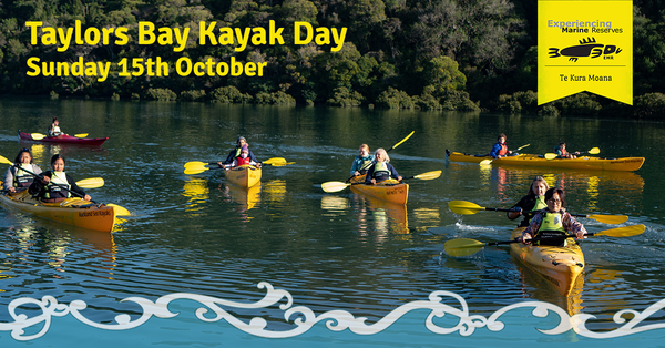 Taylors Bay Kayak banner 2023