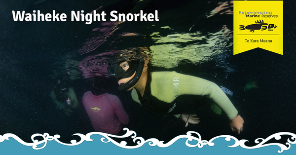 Waiheke Night Snorkel facebook 2022 23