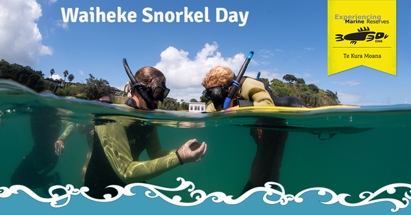 Waiheke Snorkel Day facebook 2022 23