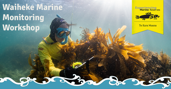 Waiheke marine monitoring workshop