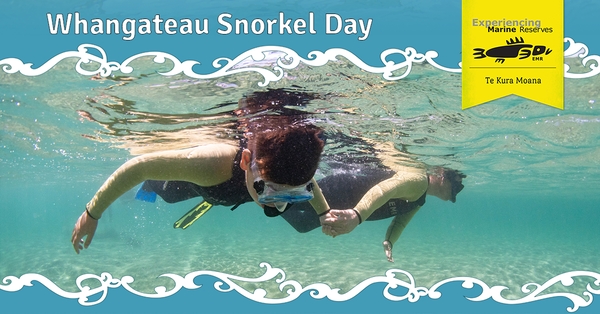 Whangateau Snorkel Day 2022 facebook
