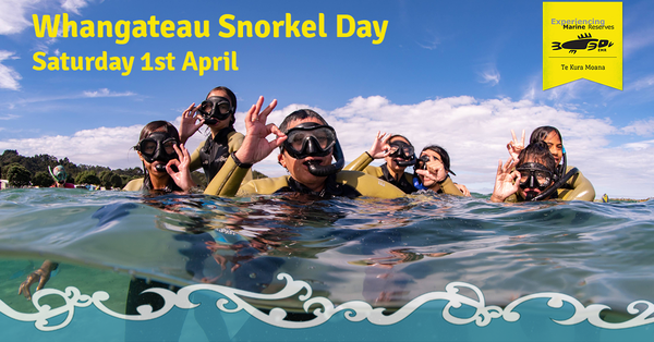 Whangateau Snorkel Day banner 2023