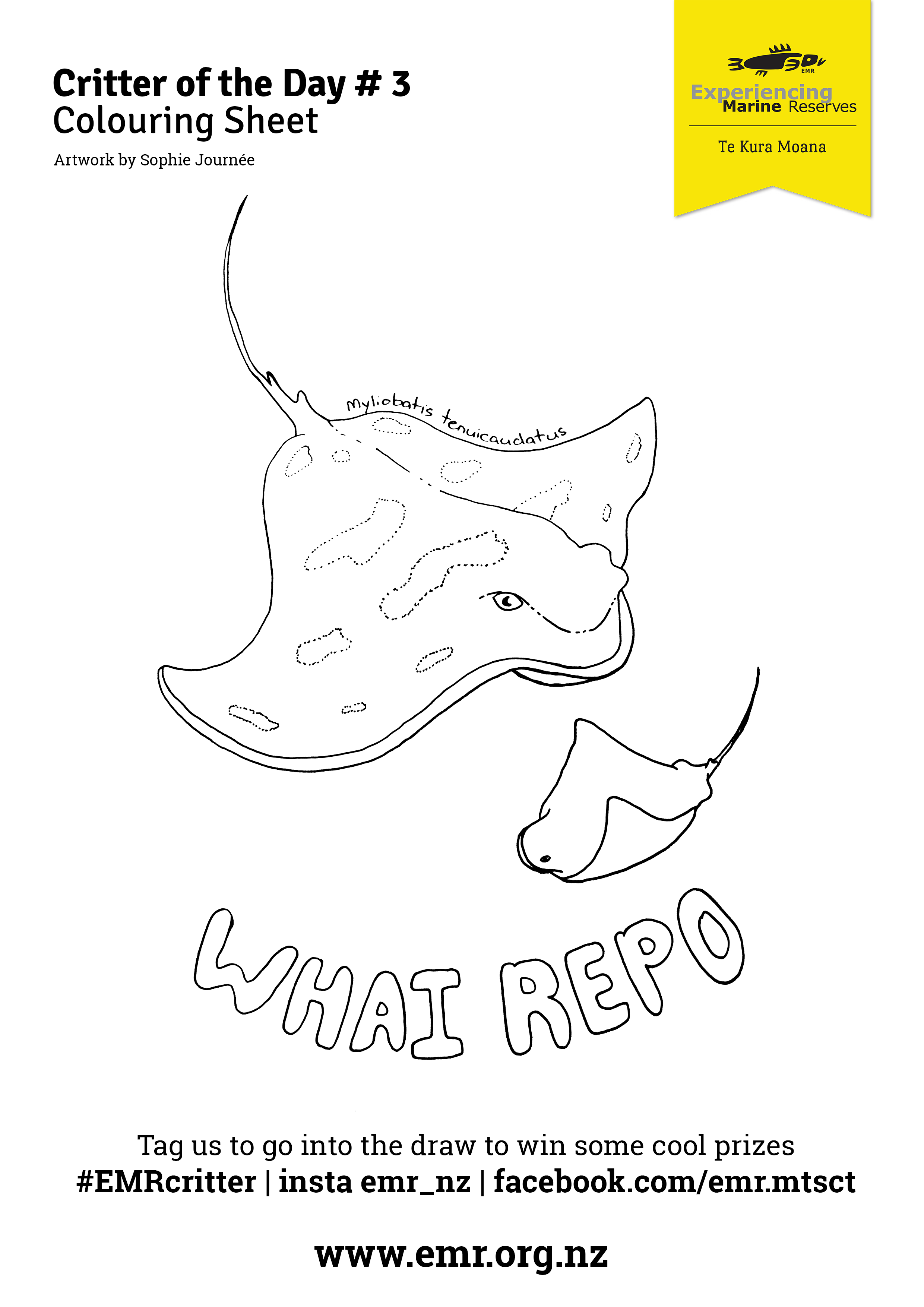 Critter of the Day wahi repo Colouring in