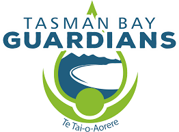tasman bay gaurdians